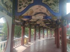 -洪湖生态旅游区