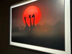 -罗红摄影艺术馆