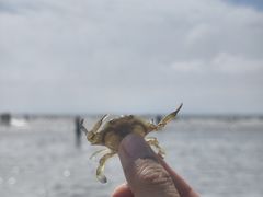 -青岛第一海水浴场
