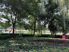 -西安汉城湖景区