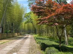 -黄公望隐居地