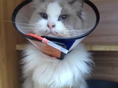 -狗舍宠物医院(四季商业广场店)