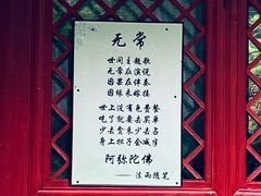 -西塔