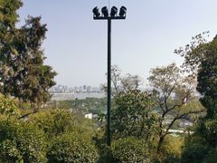 -龟山风景区-龟山电视塔