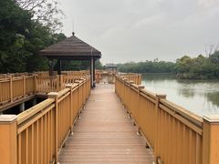 -大湾区中央湿地公园