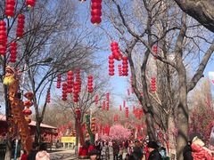 -太原动物园