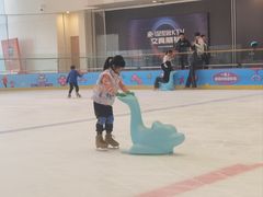 -冰纷万象滑冰场(二七万象城店)