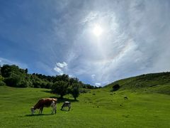 -新疆那拉提国家旅游度假区