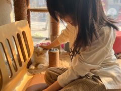 -藏猫猫咖啡主题馆(中央大道店)