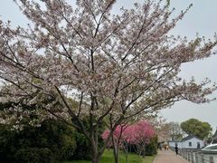 -无锡蠡湖国家湿地公园-蠡园