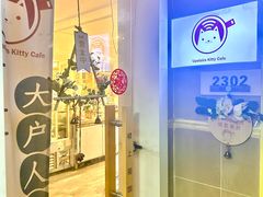 -楼上猫咖(罗湖店)