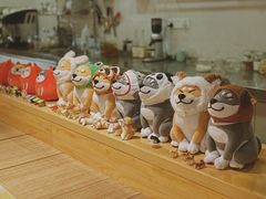 门面-柴务处·柴犬主题狗咖