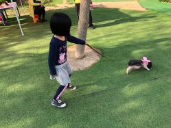 -萌宠亲子动物乐园(槐房万达店)