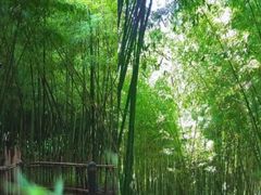 -新虹桥中心花园