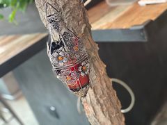-漫咖啡(红唐店)