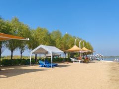 -呼兰河口湿地公园