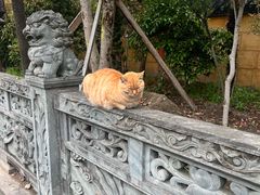 -高旻寺