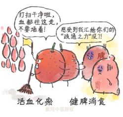 -雅曼妮spa美容养生