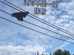 -上海野生动物园
