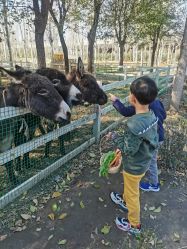 -优沃得自然教育农场·冰雪乐园·生日会·研学