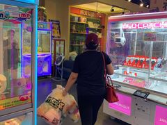 -PAWTOY爪e玩偶店(天兴罗斯福店)