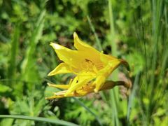 -白草畔自然风景区