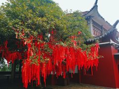 -岳麓山风景名胜区