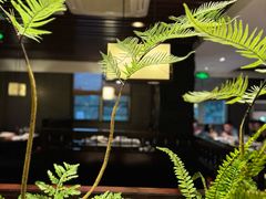 -松鹤精致料理(五一中路店)
