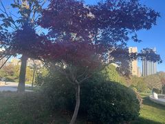 -木塔寺遗址生态公园