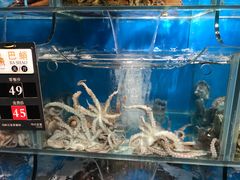 -苏大嘴海鲜牧场(奥林匹克店)