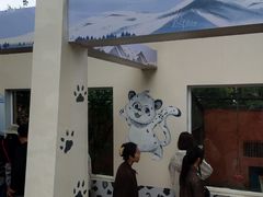 -青藏高原野生动物园