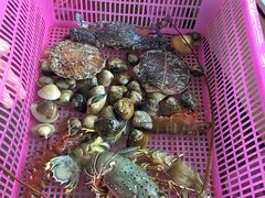 -班赞海鲜市场