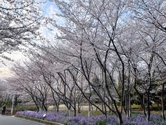 -白塘生态植物园