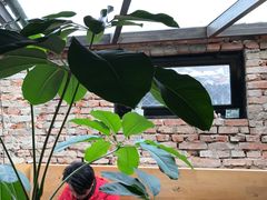 -VOYAGE COFFEE(北锣鼓巷店)