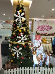 -宝生月子中心·独栋独院式(南山店)