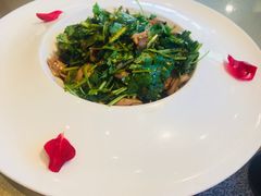 -天福苑(崇宁路店)