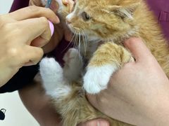 -美联众合动物医院·24h转诊中心