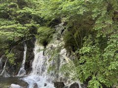 -陕西省红河谷森林公园