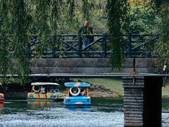 -上海共青森林公园