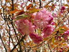 -苏州河梦清园环保主题公园