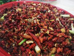 -东吴霸王兔(松青路店)