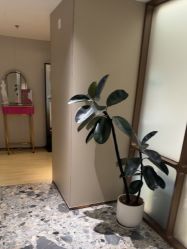 -北京漾格医疗美容医院