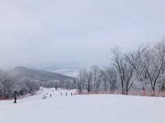 -中旅松花湖滑雪场