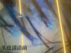 -西安F+造型