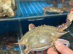 -宾朋海鲜饭庄(兴海路店)