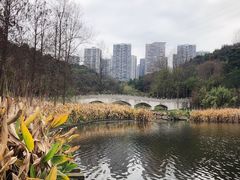 -重庆彩云湖湿地公园