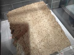 -九江双蒸博物馆
