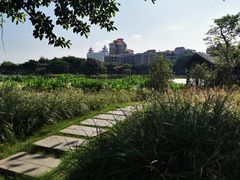-映月湖公园