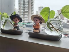 -小吊梨汤·北京菜·烤鸭(双井乐成中心店)