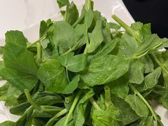 -蜀九香火锅(彩虹店)